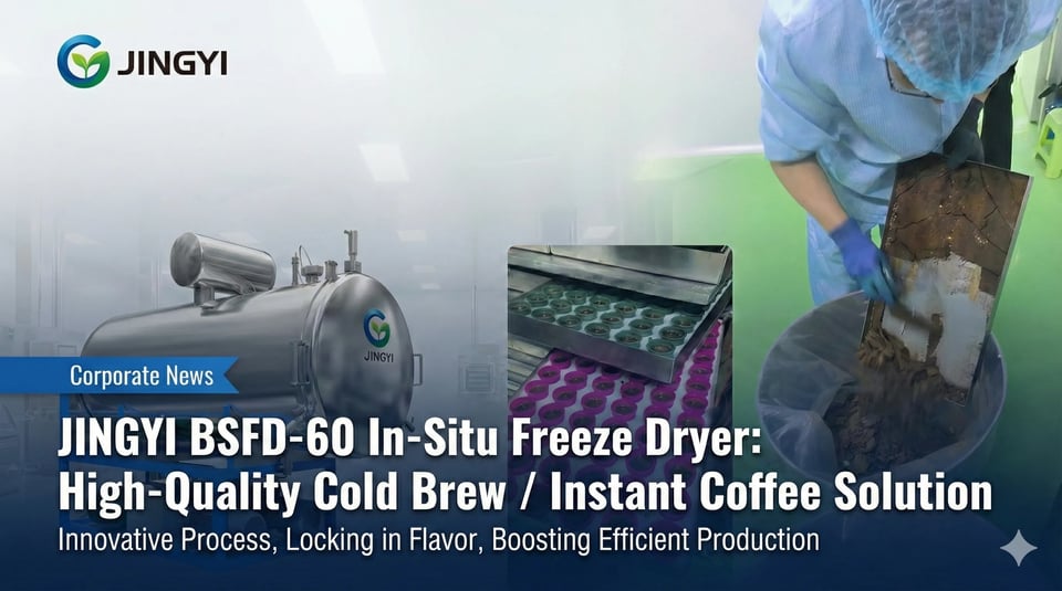 what is freeze dried coffee