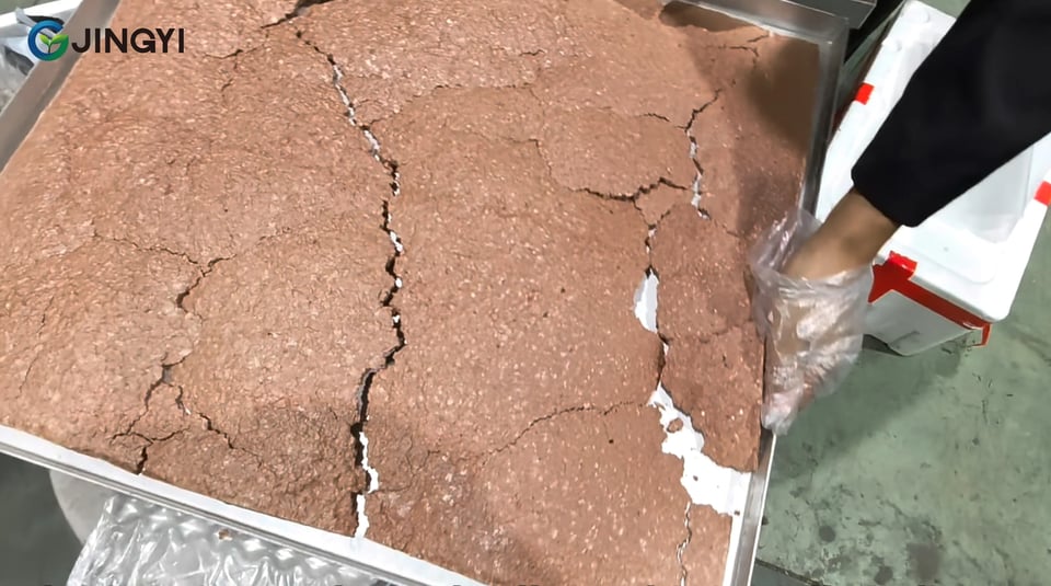 Is Freeze Dried Beef Liver Good for Dogs