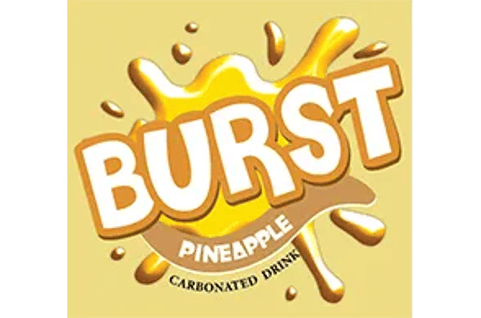 BURST partner logo