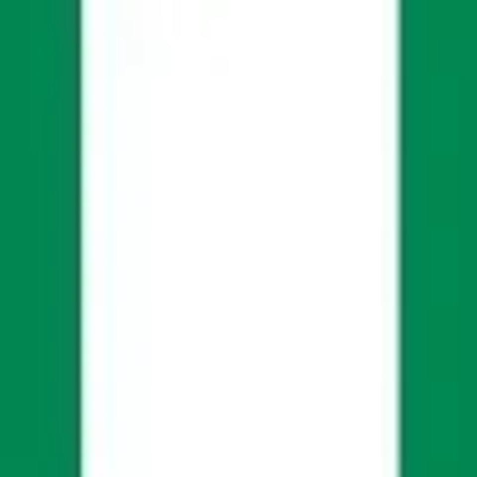 Nigeria flag