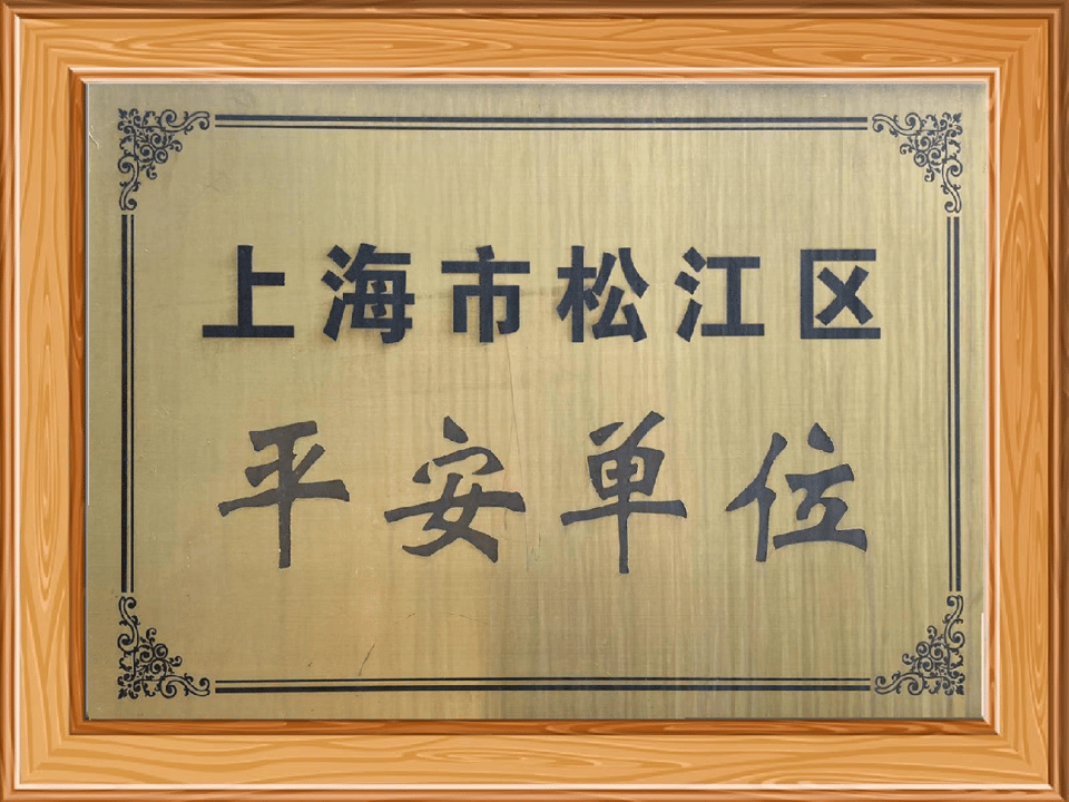 Shanghai Songjiang Safe Unit