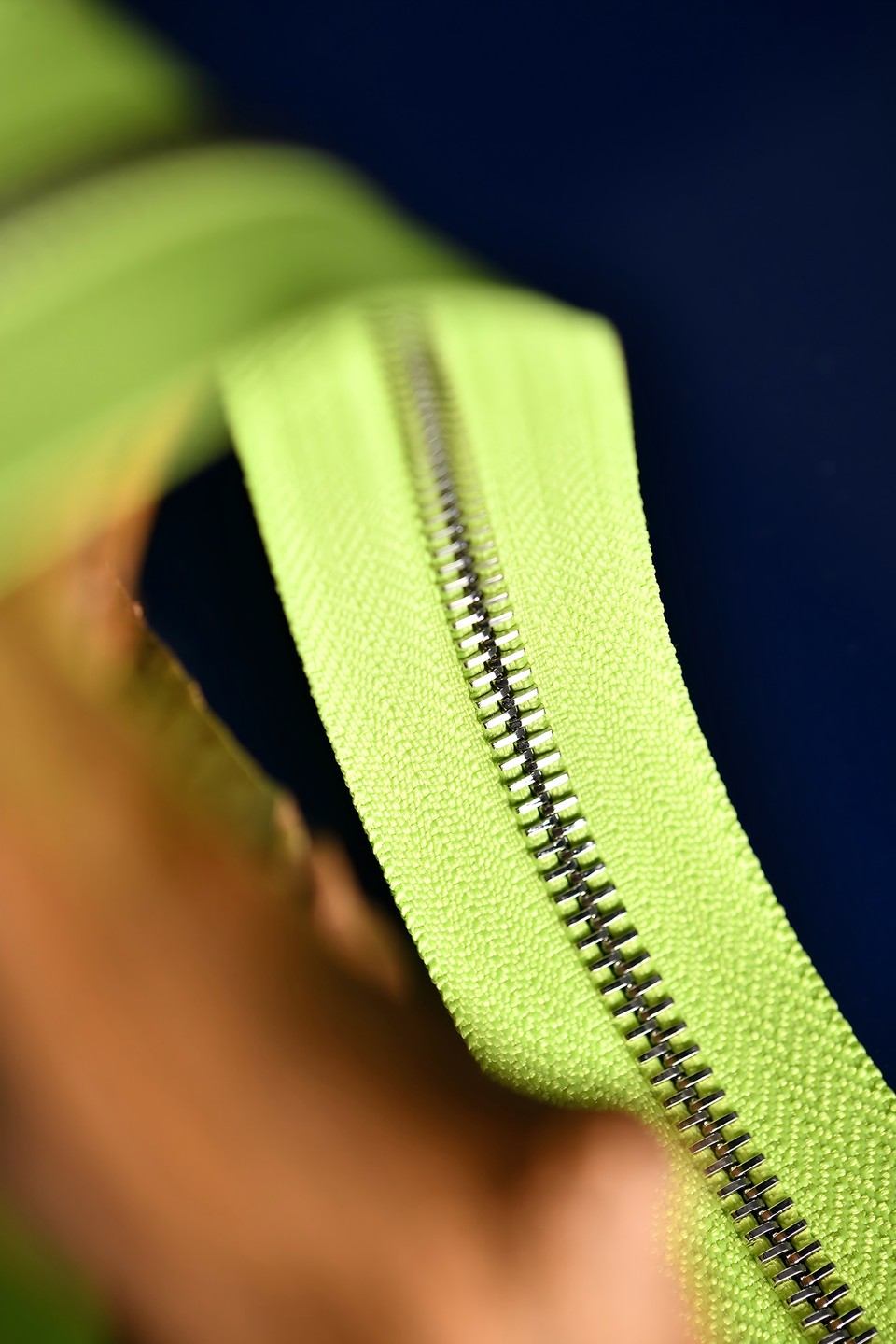 DSC8886