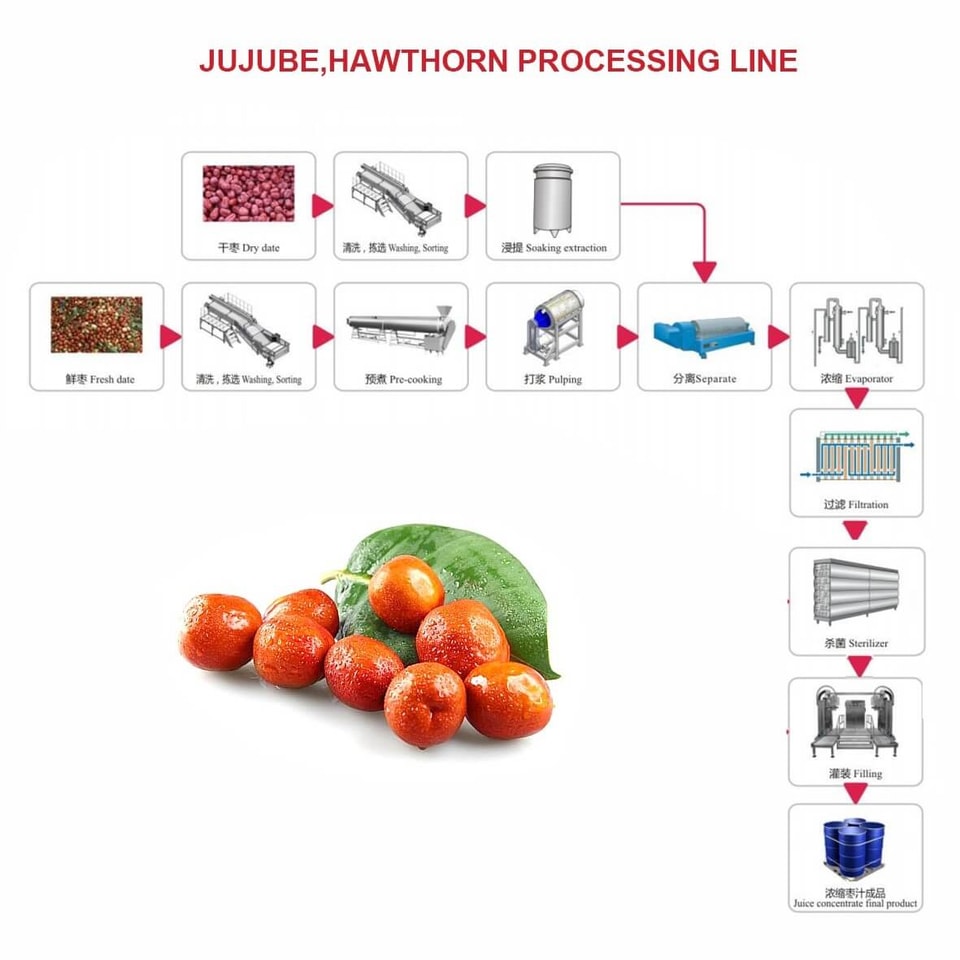 линия по переработке фиников