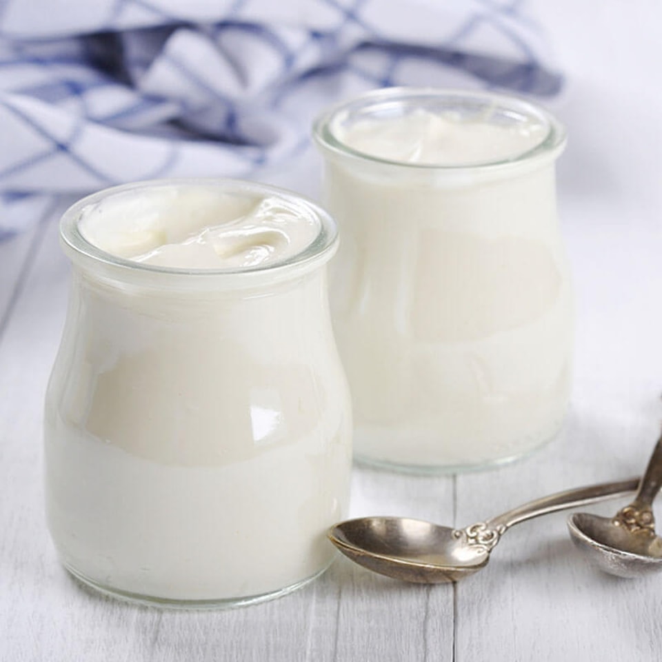 línea de producción de yogur
