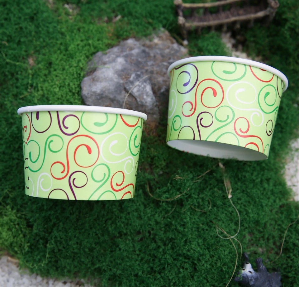 Biodegradable Ice Cream Cup Manufacturer in China: A Buyer’s Guide