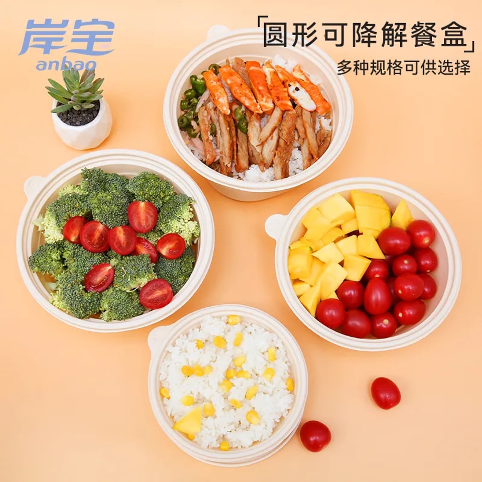 Eco-Friendly Disposable Takeaway Boxes: A Scalable System for Restaurant Chains