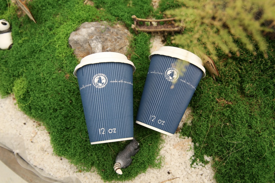 What to Ask a Custom Logo Single Wall Coffee Cup Manufacturer Before Ordering
