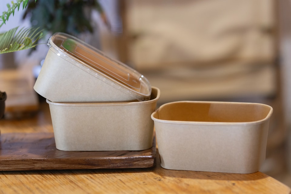 What Makes a Biodegradable Paper Bowl a Better Choice for Food Packaging?