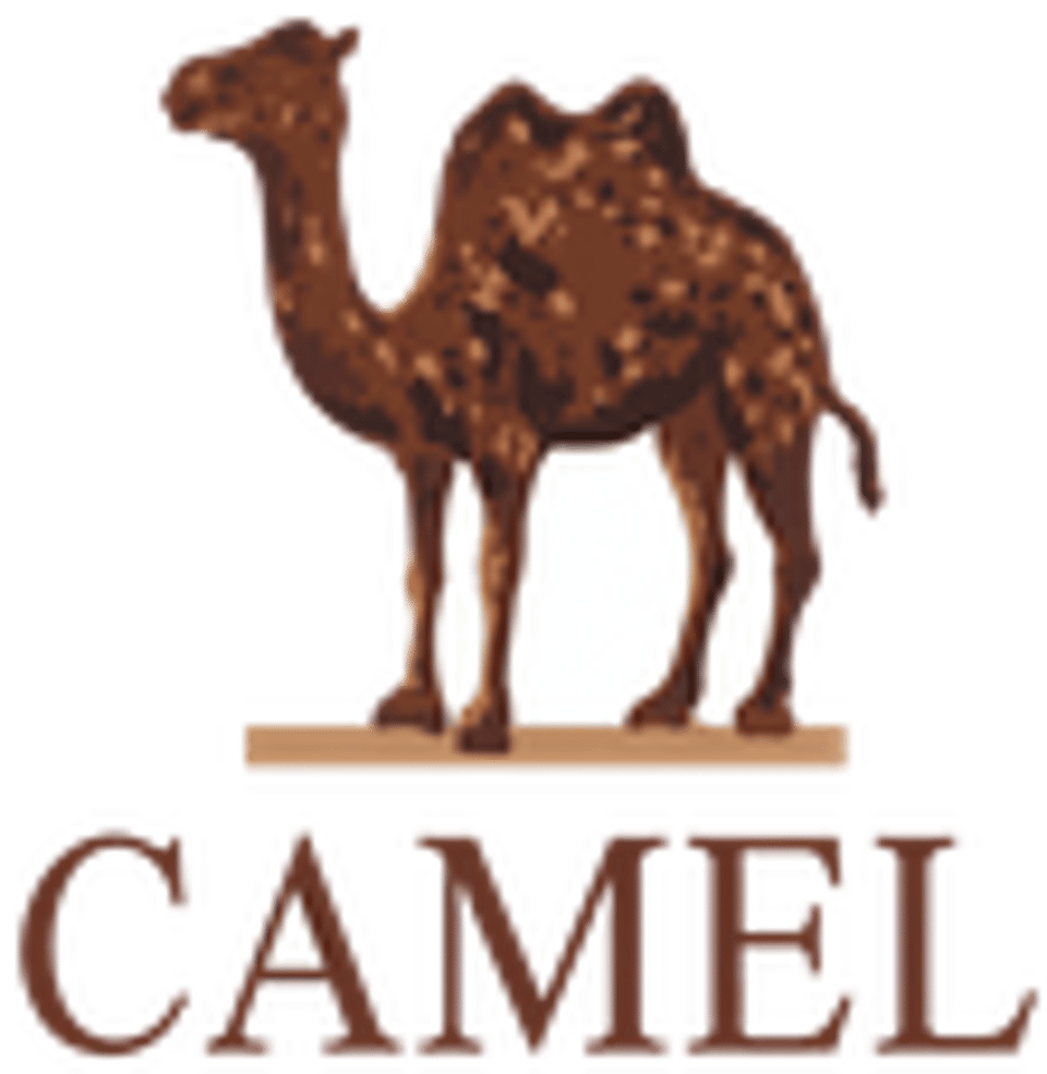 Camel
