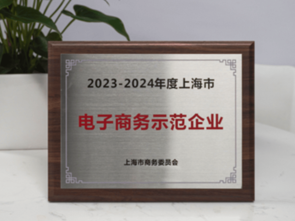 上海市电子商务示范企业荣誉证书