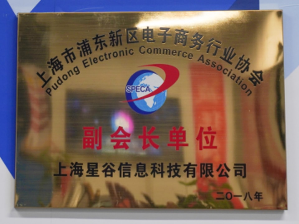 上海市浦东电子商务行业协会副会长单位荣誉图片