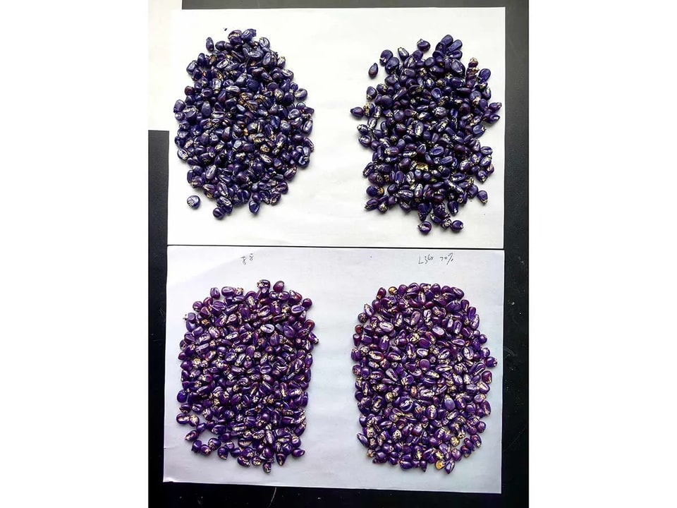 产品应用展示-22.webp