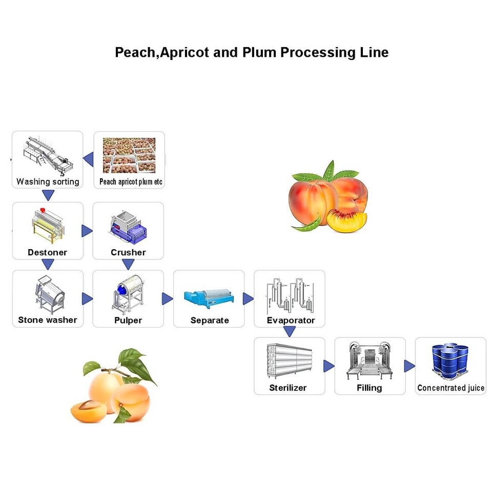 Peach processing line Peach processing line