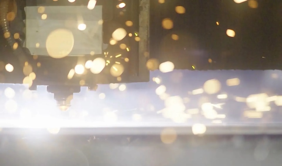 Cutting at the Hightop plant