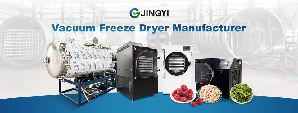 Vacuum Freeze Dryer Manufacturer.png