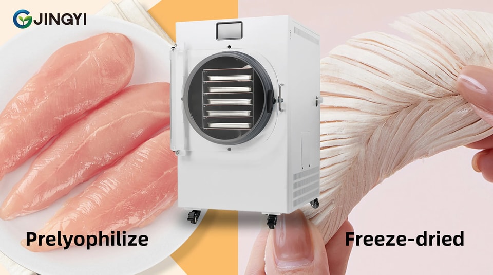 Application of freeze-drying technology for dairy product preservation