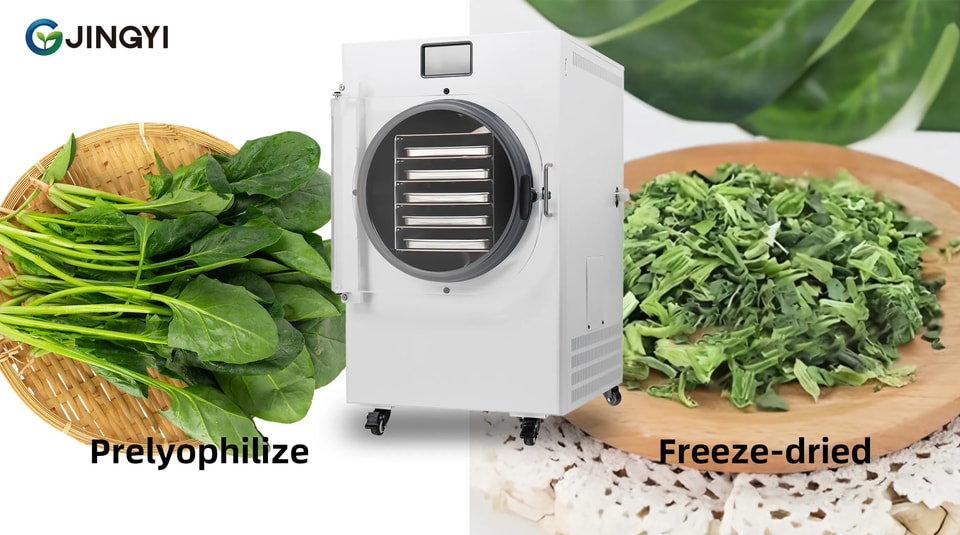 What products can a food freeze dryer freeze-dry?