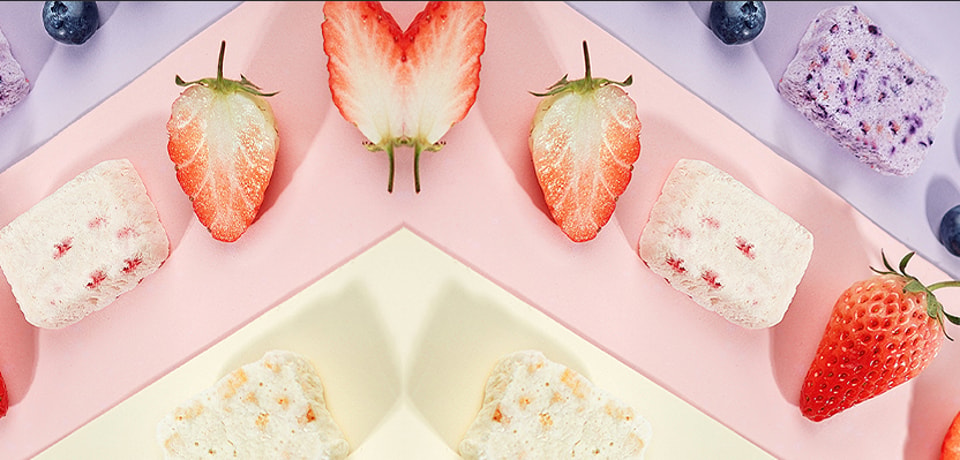 Application of Freeze Drying Technology in Dairy Product Preservation