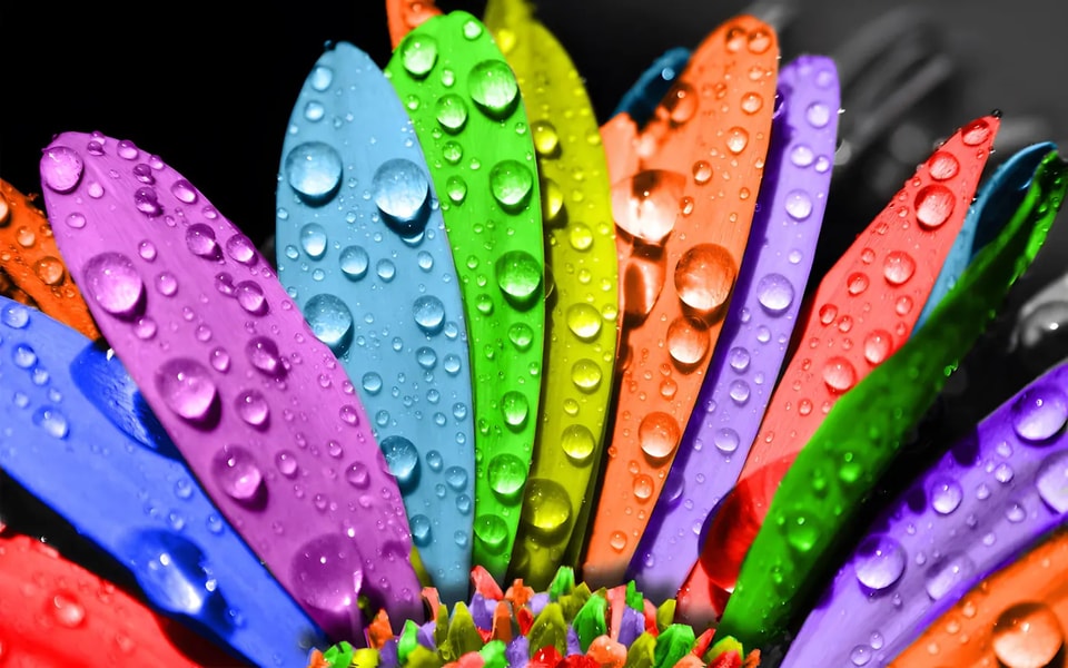 ¿Cómo proteger las pantallas LED de la humedad y la lluvia?
