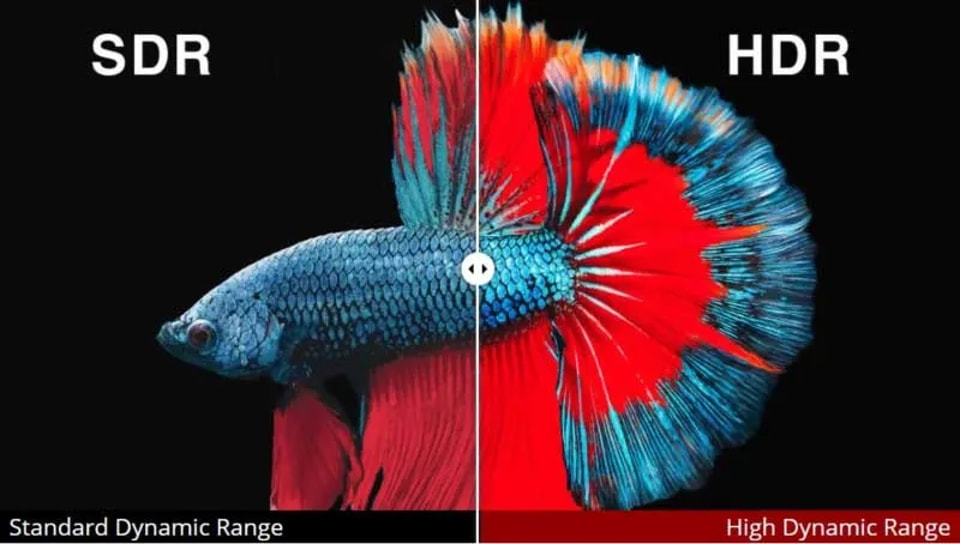 Definición y aplicaciones del HDR