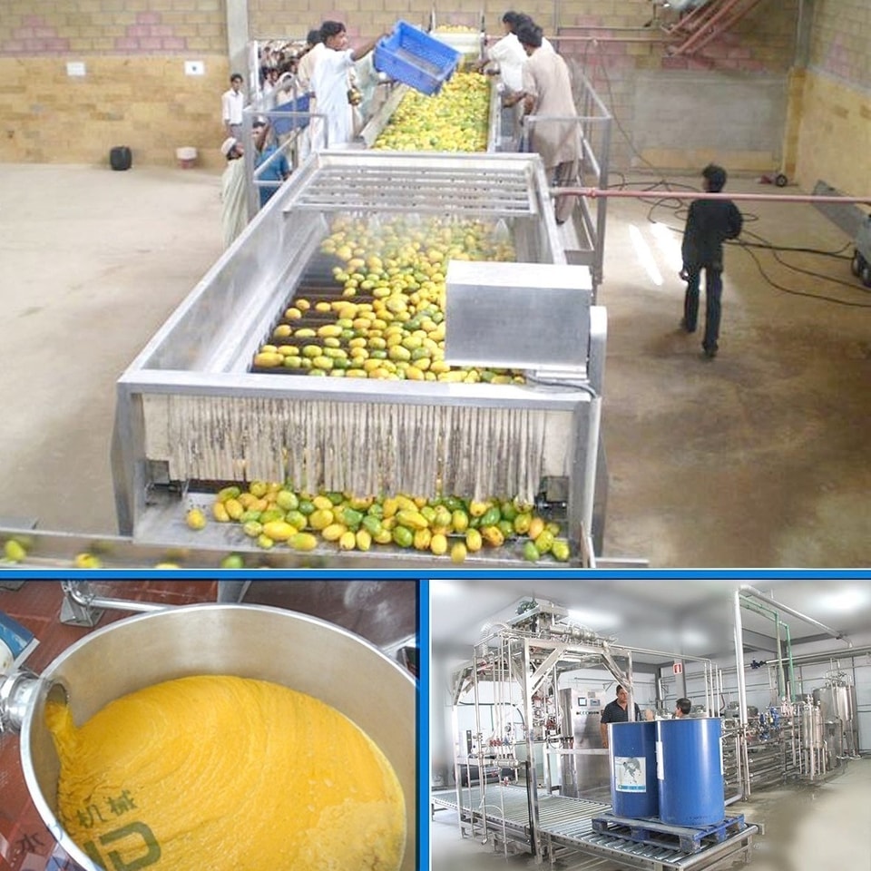 Xây dựng dây chuyền chế biến xoài tại Việt Nam: Thiết kế hệ thống đồng bộ về lựa chọn thiết bị, sử dụng năng lượng, quản lý thông tin hóa và quy trình công nghệ