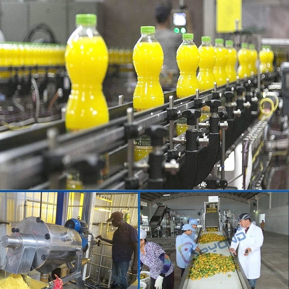 Dây chuyền chế biến trái cây Dây chuyền chế biến trái cây