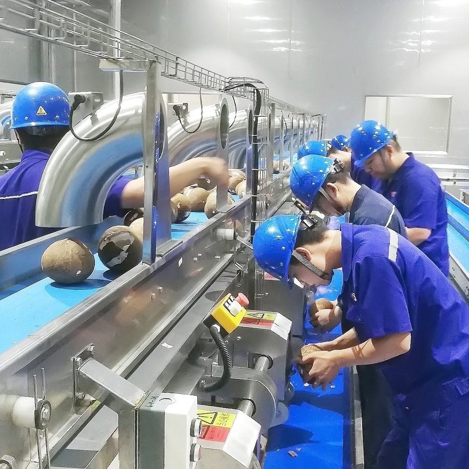 Dây chuyền chế biến trái cây Dây chuyền chế biến trái cây