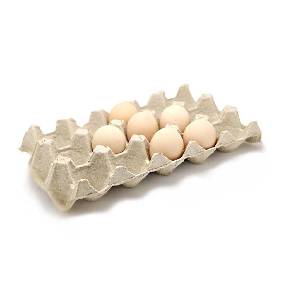 Bandeja para 15 huevos