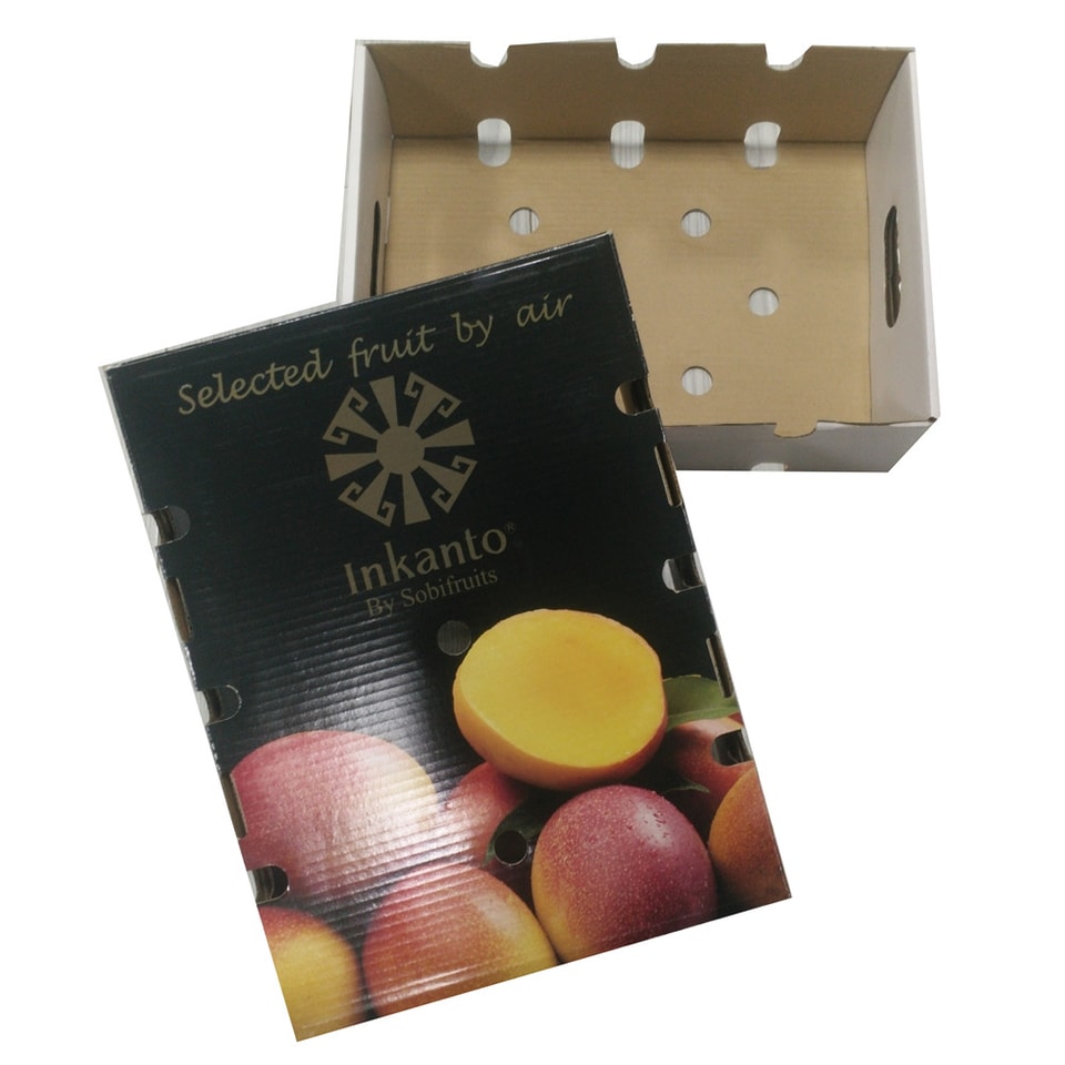 Caja resistente para embalaje de frutas