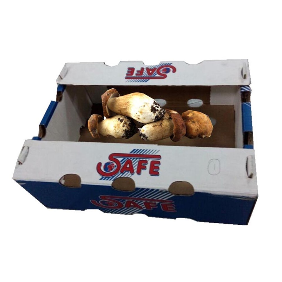 Caja para champiñones