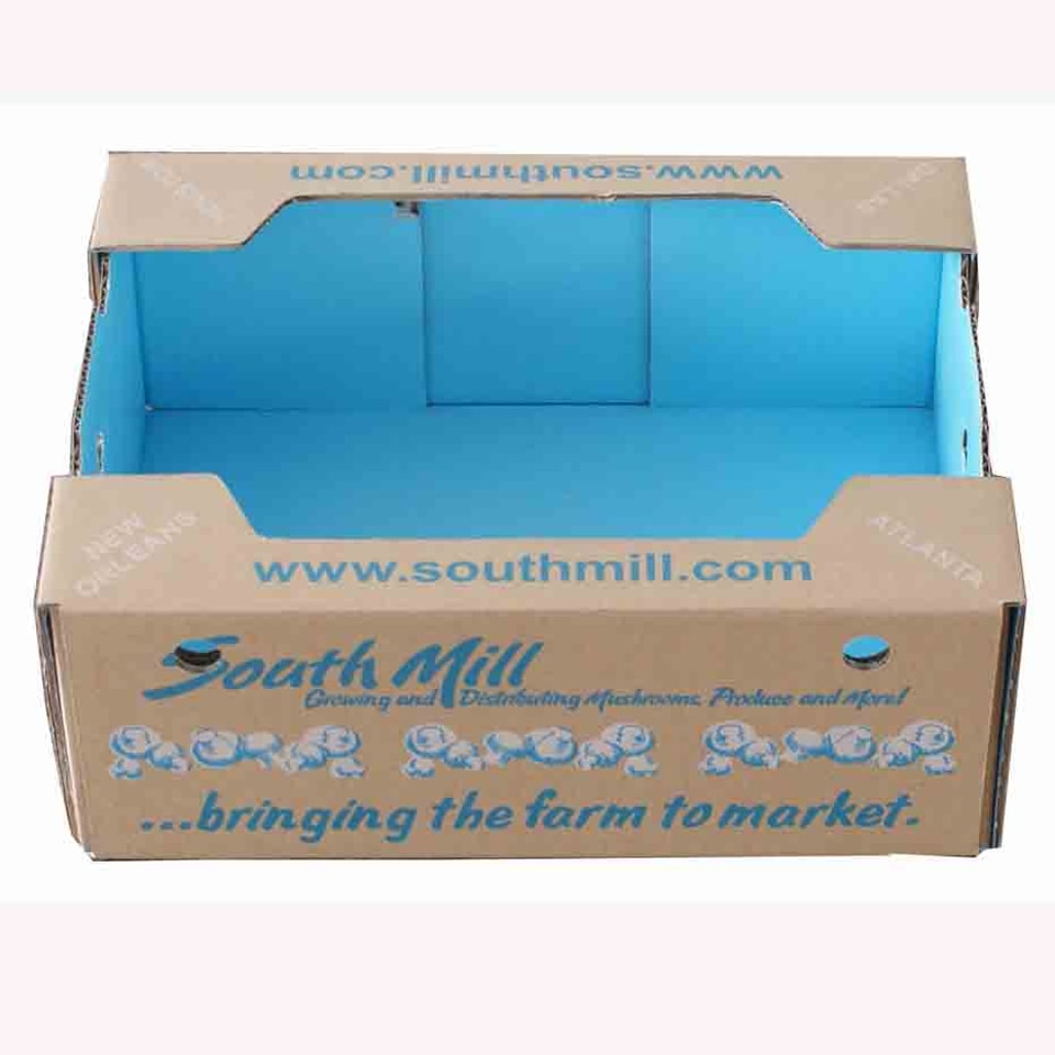 Caja de cartón personalizada para champiñones