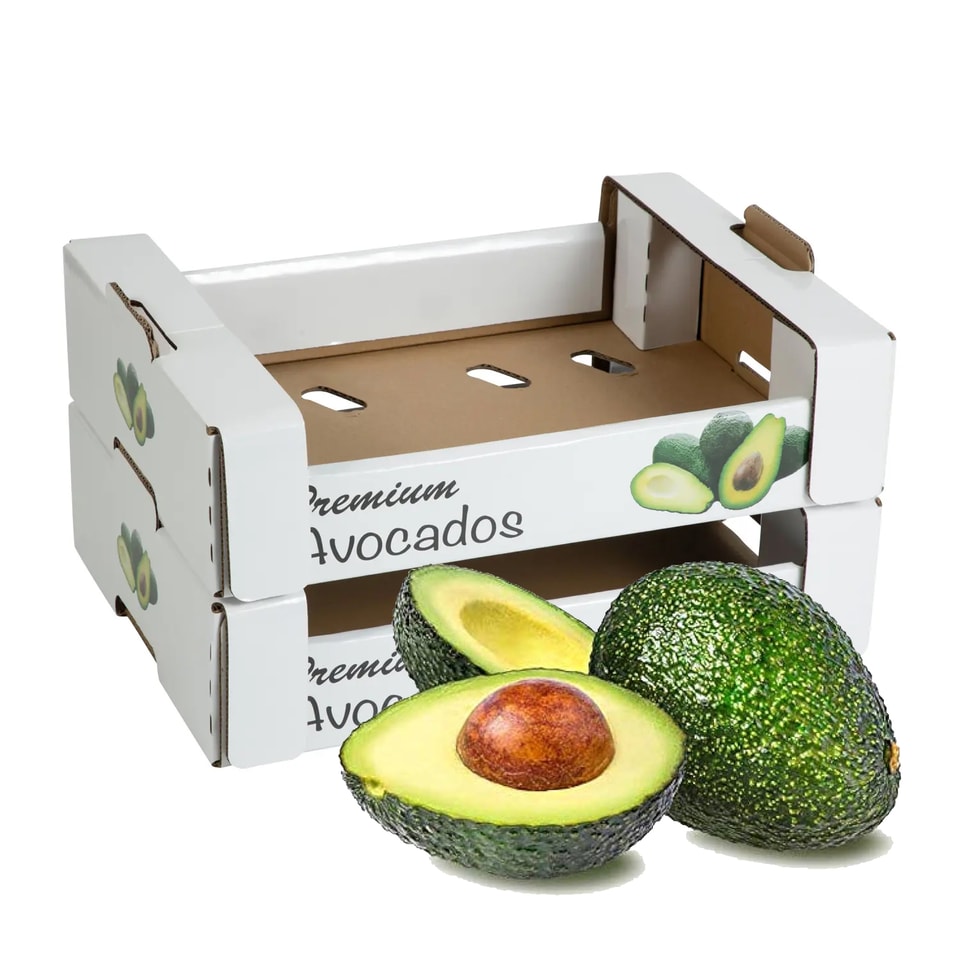 Bandeja para envases de aguacate