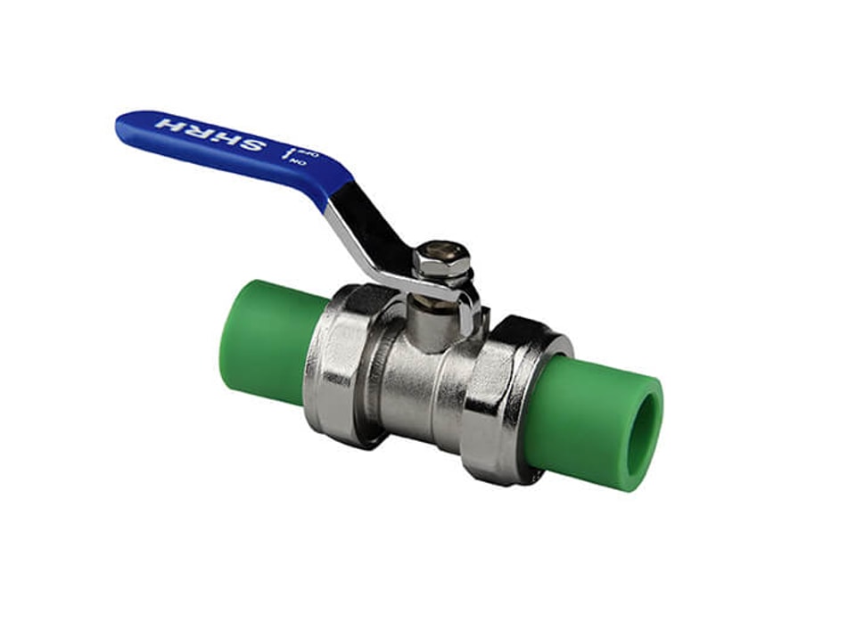 PPR Double End Valve