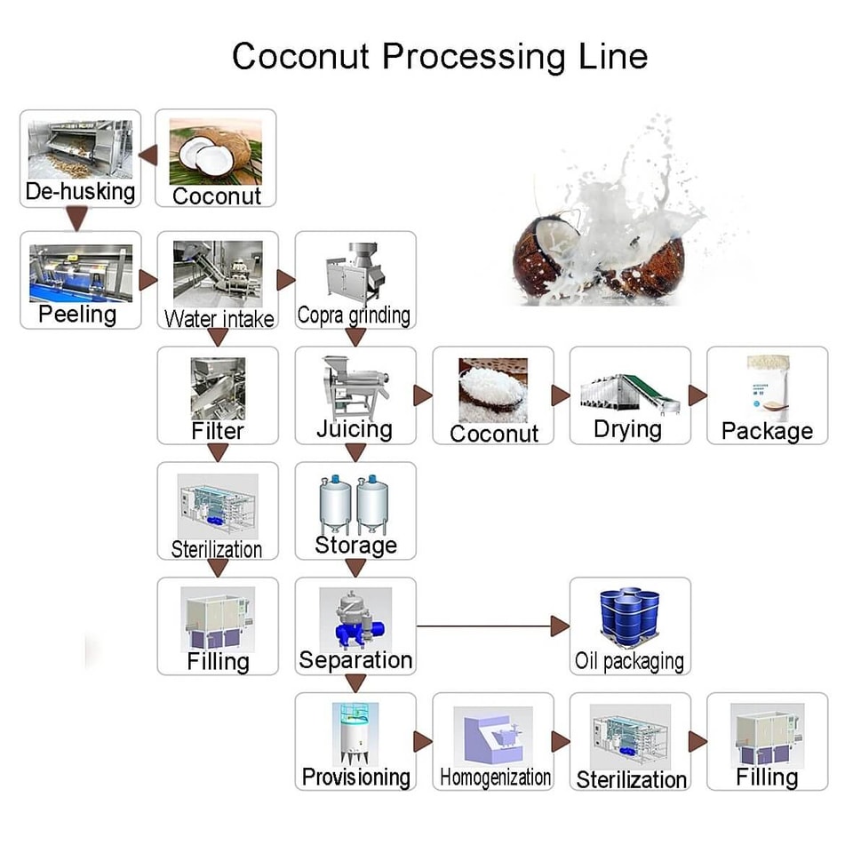 Ligne de traitement de noix de coco Ligne de traitement de noix de coco