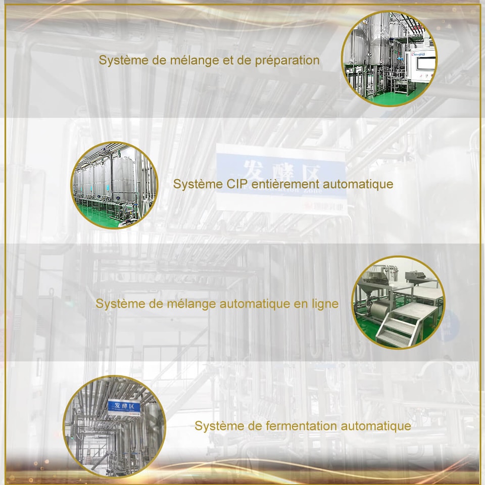 Ligne de production yaourt Ligne de production yaourt