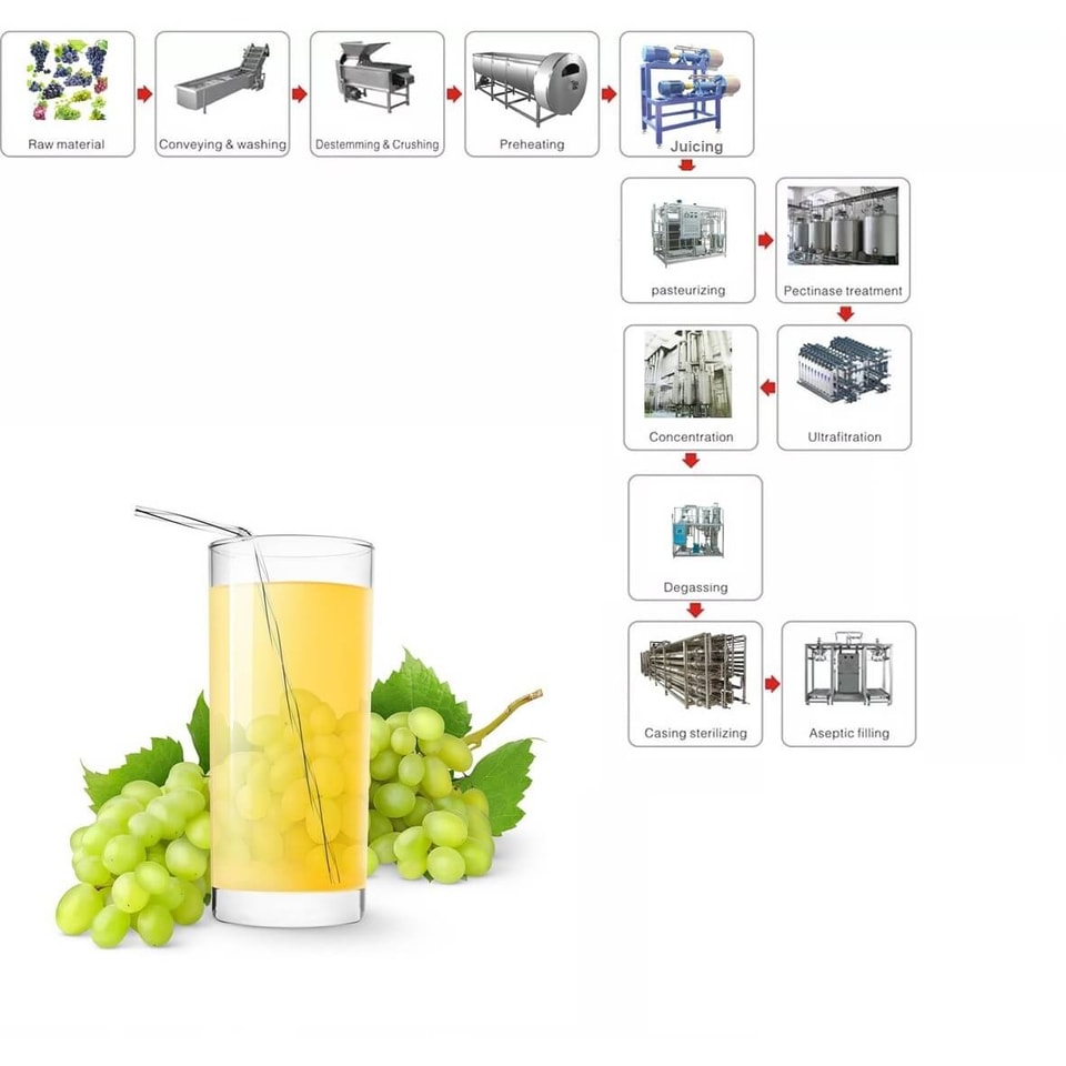 Grape juice processing line Grape juice processing line