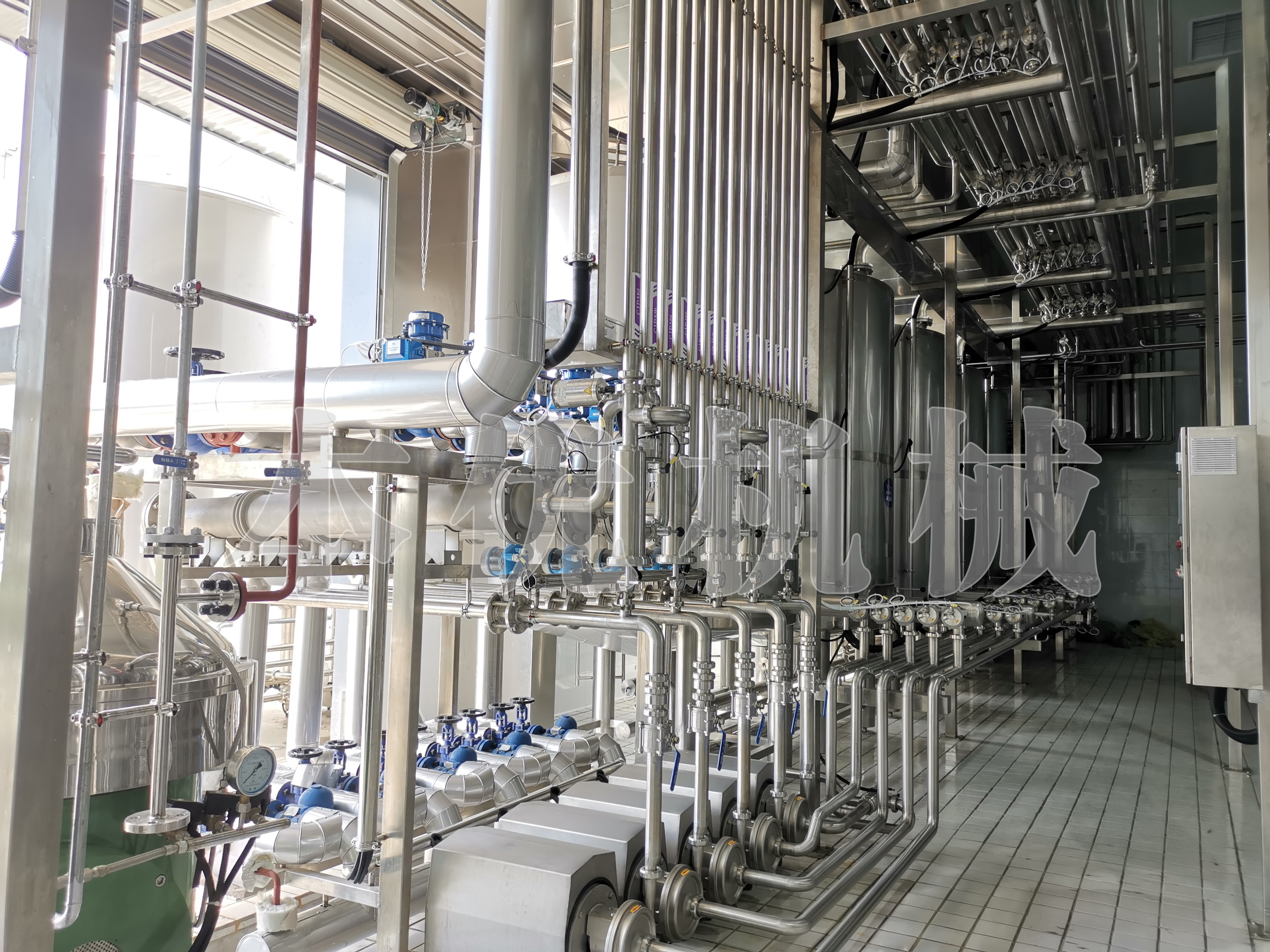 Modernisation de la production de lait pasteurisé : une solution complète avec Shanghai Beyond Machinery
