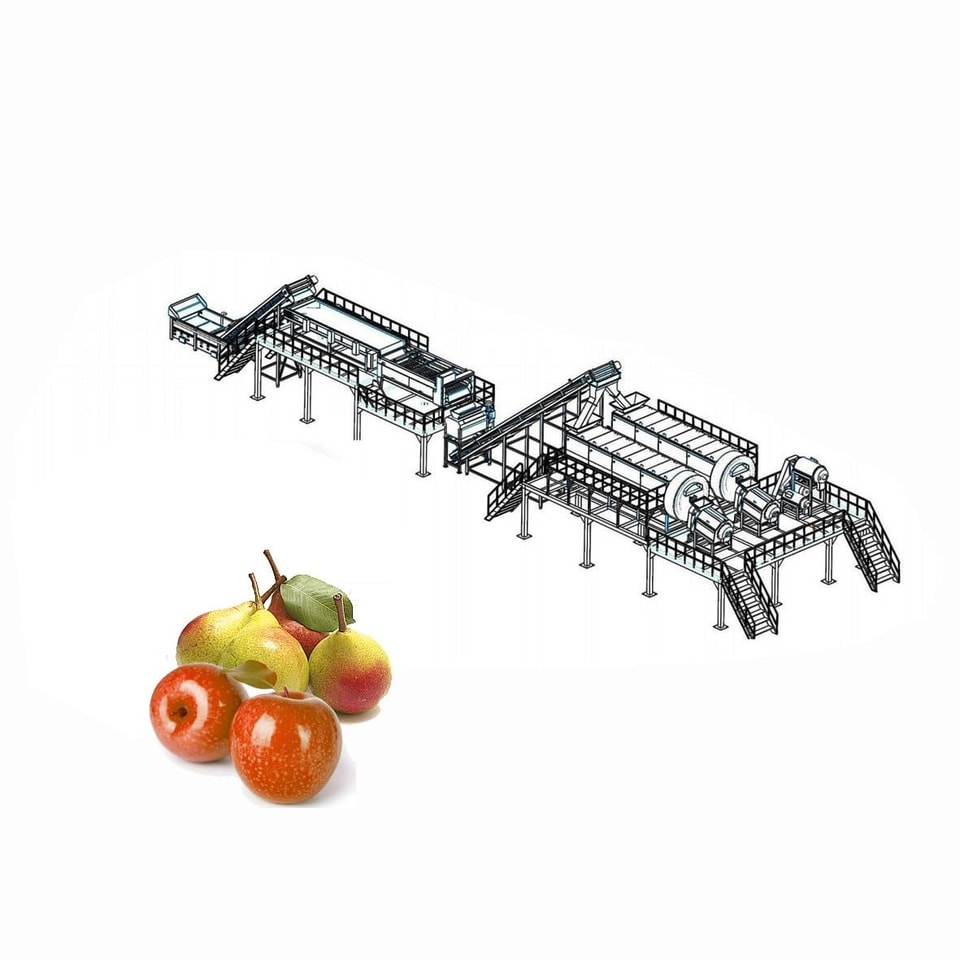 Ligne de traitement des pommes et des poires