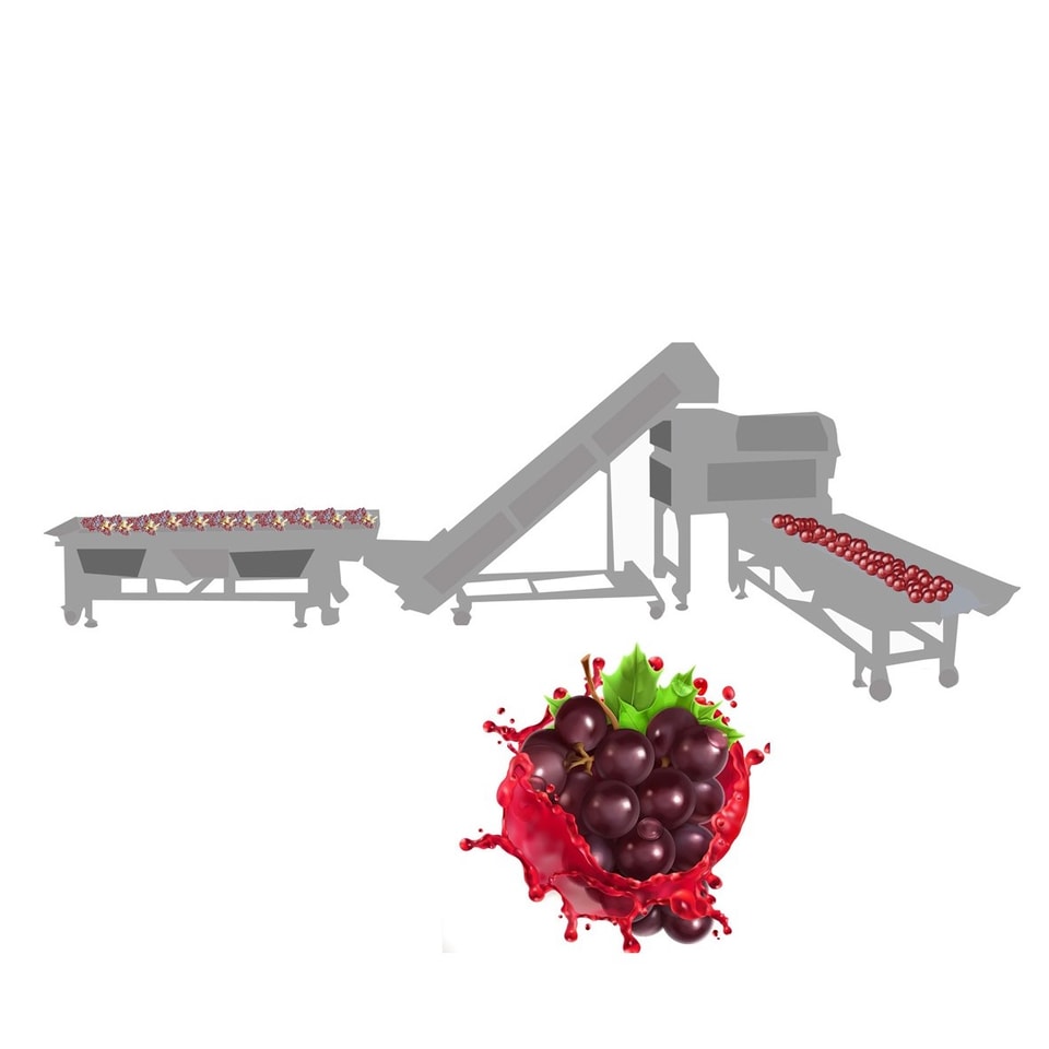 Ligne de traitement de jus de raisin