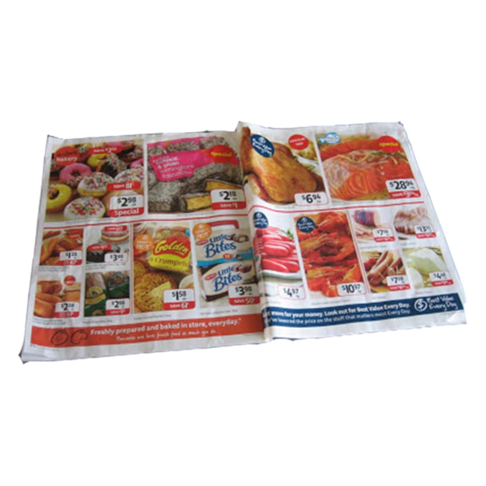 Top quality Catalogue & Manual