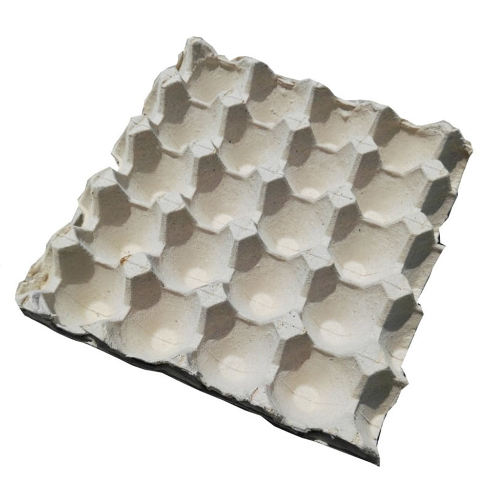 Egg Tray for 20 pieces