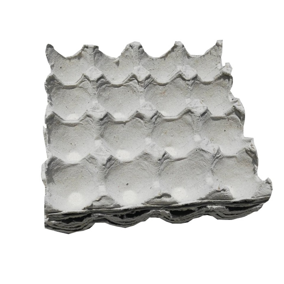 Egg Tray for 16 pieces