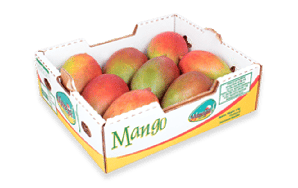 15-20 kg Fruit Paper packing Box