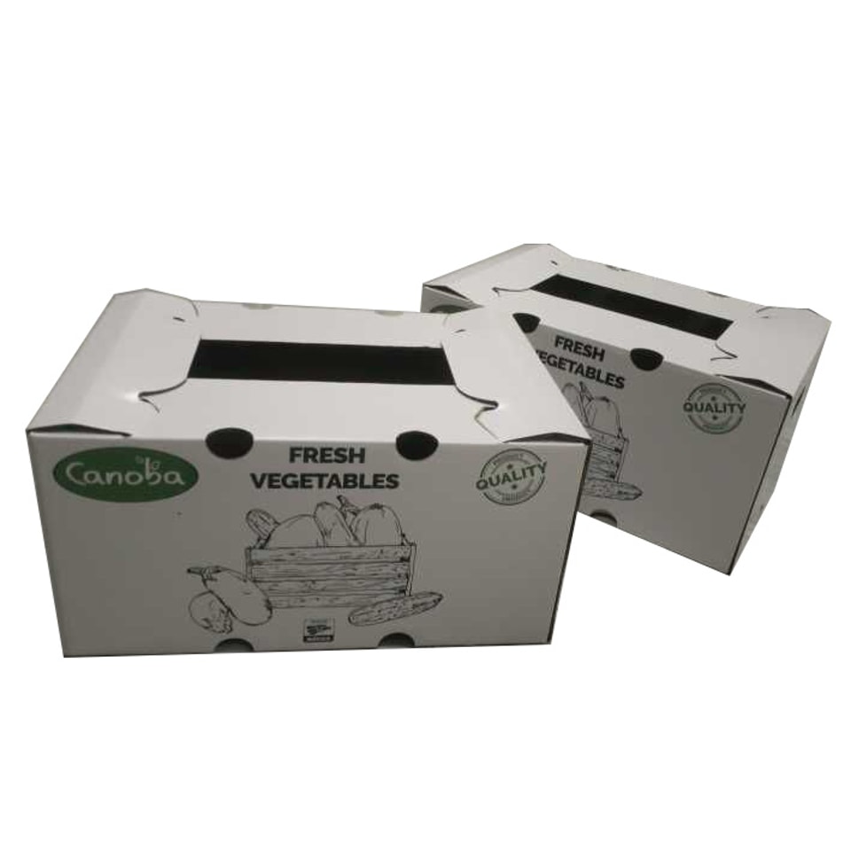 5b3edca380ecf.jpg