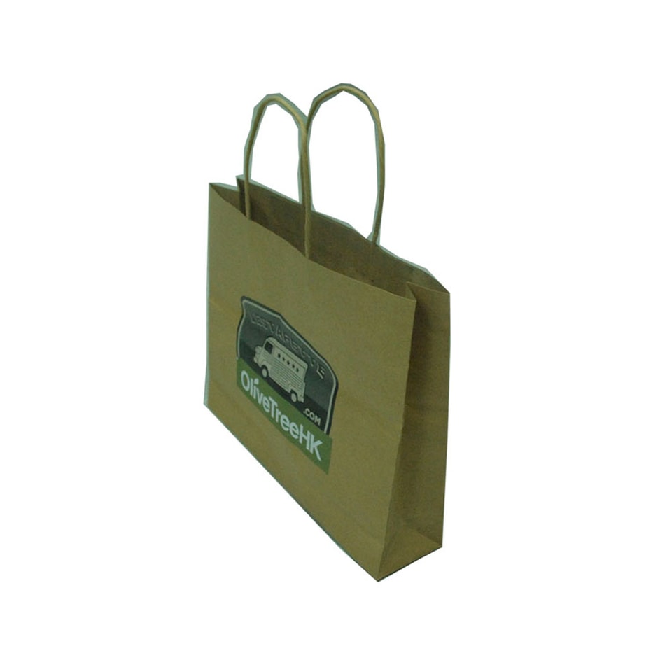 Kraft paper gift bags with paper handles