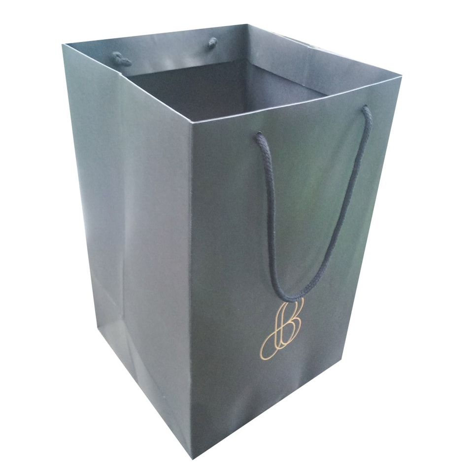 Logo Gold Foil Custom Paper Bag