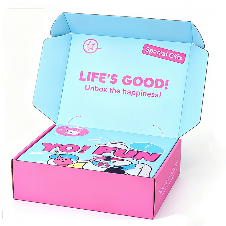 Shoe storage Box