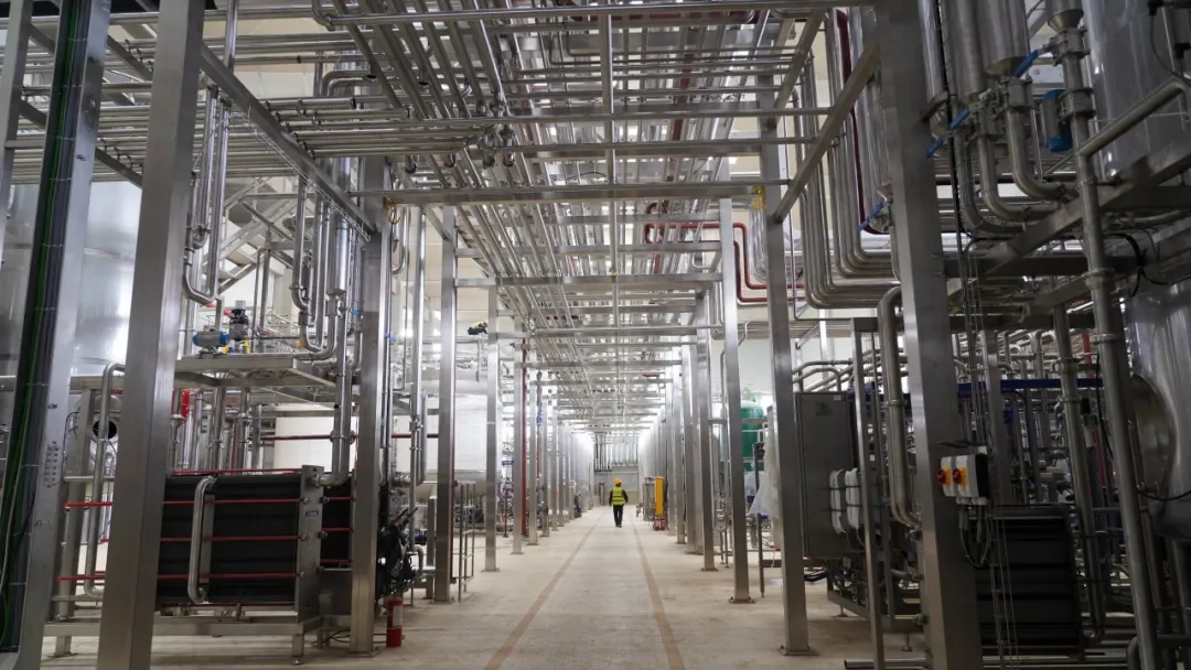 Projet de lait de chèvre liquide de 20 000 tonnes par an, lancement prévu en octobre