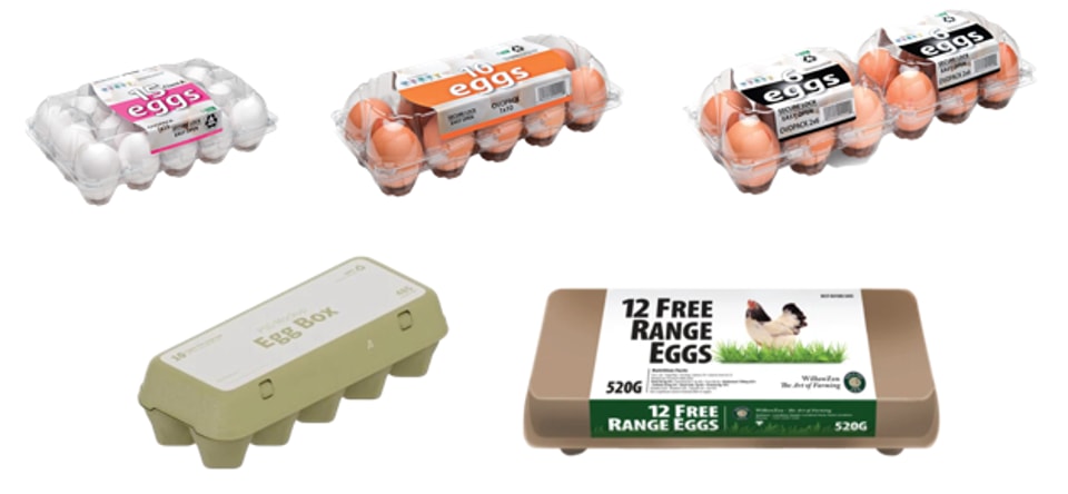 egg box 5.png