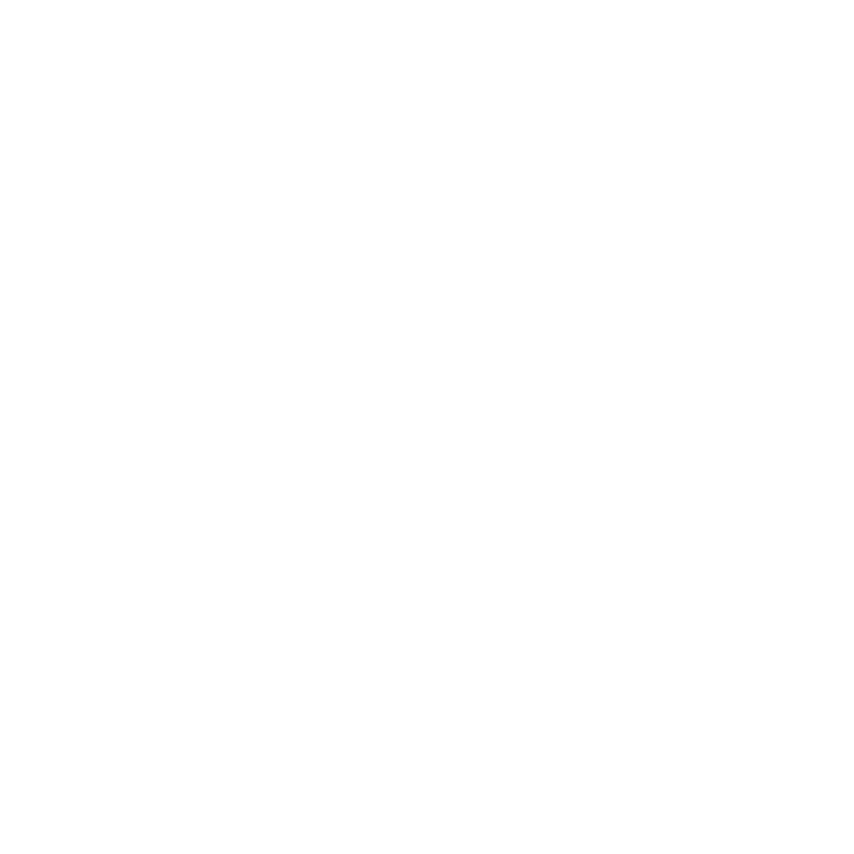 Hot Air Brush